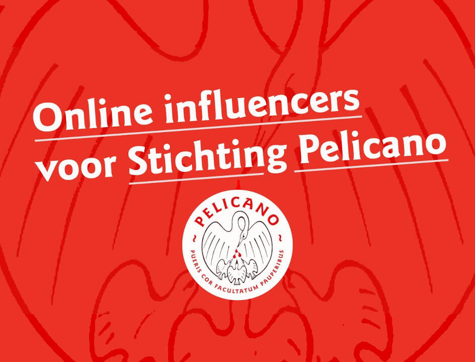 Stitching Pelicano 24H